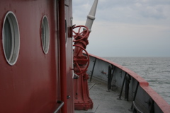E_M_Cotter 067