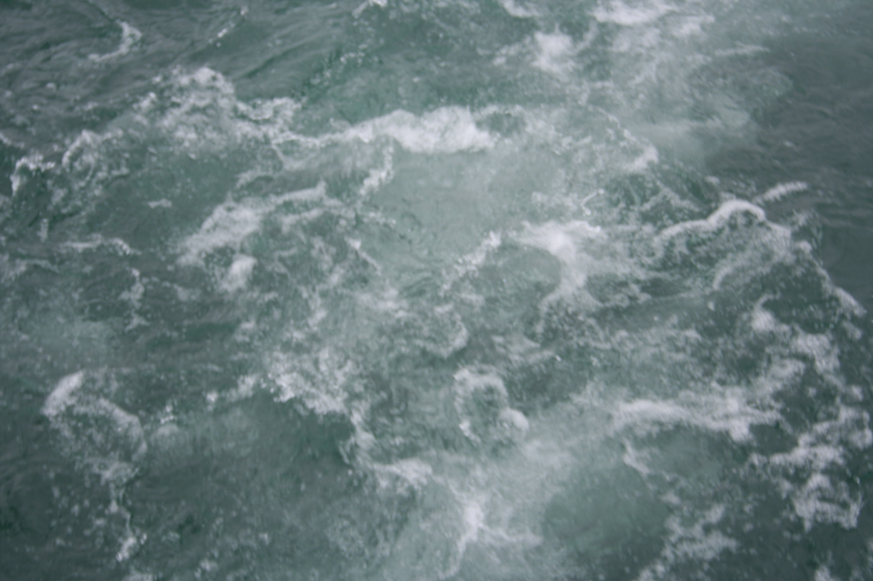 E_M_Cotter 037